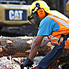 Forestry subject thumbnail image