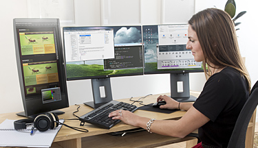 Graduate Diploma of Web Design and Development course thumbnail image Graduate Diploma of Web Design and Development course thumbnail image