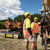 New Zealand Certificate in Forest Harvesting Operations (Level 3) - Woodsman Programme