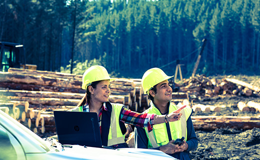 Forest Management students during their course at Toi Ohomai in Rotorua