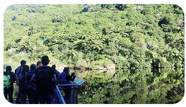Environmental Management students Kapiti Island field trip