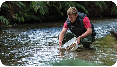 Scientific communication