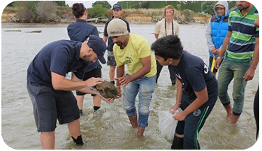 Students looking at rocks